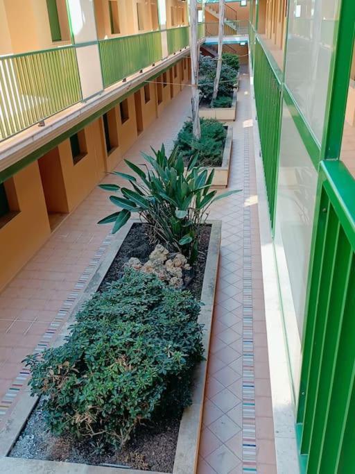 Rincon Del Delta, Apartamento En El Delta Del Ebro, Playa Trabucador Amposta, Tarragona L'Eucaliptus Exterior foto